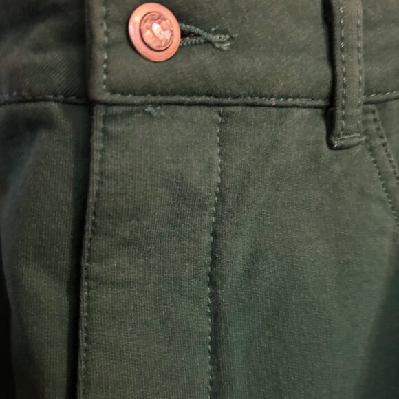 Emerald Green Dream Jeannes by Quacker Factory - Picture 3 of 7